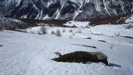 Pendio regolare e vellutato...