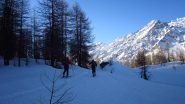 Neve continua nel bosco...