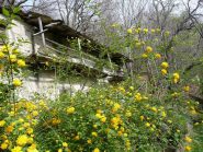 Antiche borgate lungo la mulattiera che sale a Chiaves