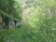 lungo l'alta Via