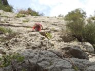 La partenza del primo tiro