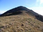 il Rognoso dal colletto