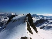 testa del vallonasso