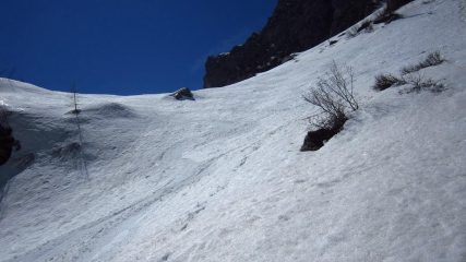 Poco prima del bosco...