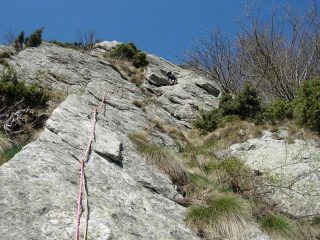 Fausto al termine di L4