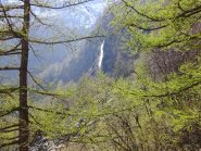  Verde e cascata