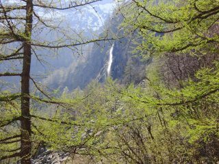  Verde e cascata