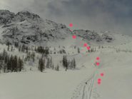 scattata appena oltre il bosco sulla traccia del col Serena