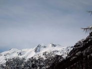 punta di leppe