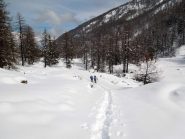 fuori dal bosco