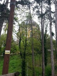 Basilica di Superga dal bosco