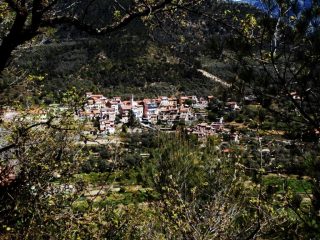 olivetta 