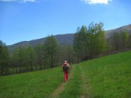 Sui prati di Pian Castagna