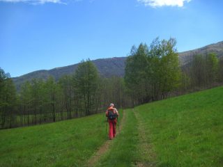 Sui prati di Pian Castagna
