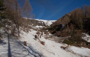 Nei pressi dell'Alpe Vazzeda Inferiore