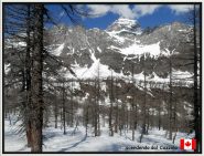 ...come dicevo questo e' Canada