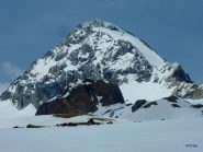 Gran Zebrù dal Pizzini