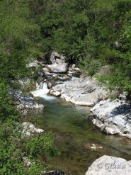 Lungo il fiume Neva