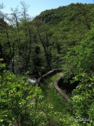 Il ponte romano di Bassi