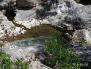 Lungo il fiume Neva 2