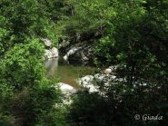 Lungo il fiume Neva 3
