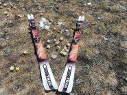 dopo tanta neve..i fiori....