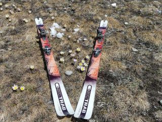 dopo tanta neve..i fiori....