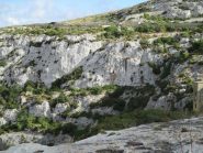 Italian walls