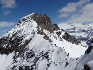 La cresta sud vista dal Petit Tournalin