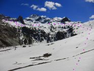 Itinerario di discesa 