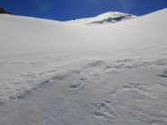 In vista della vetta