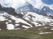 rientro tra i crocus