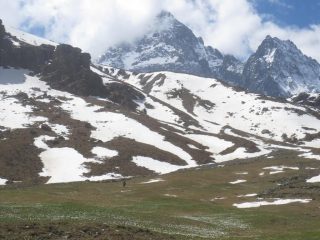 rientro tra i crocus
