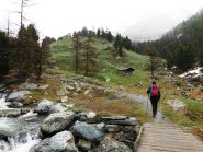 Si sale per un pò senza trovare neve