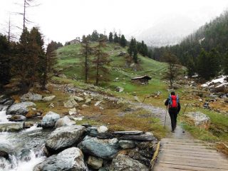 Si sale per un pò senza trovare neve