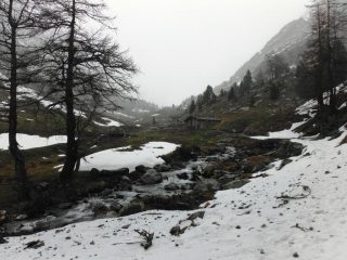 Qualche macchia di neve