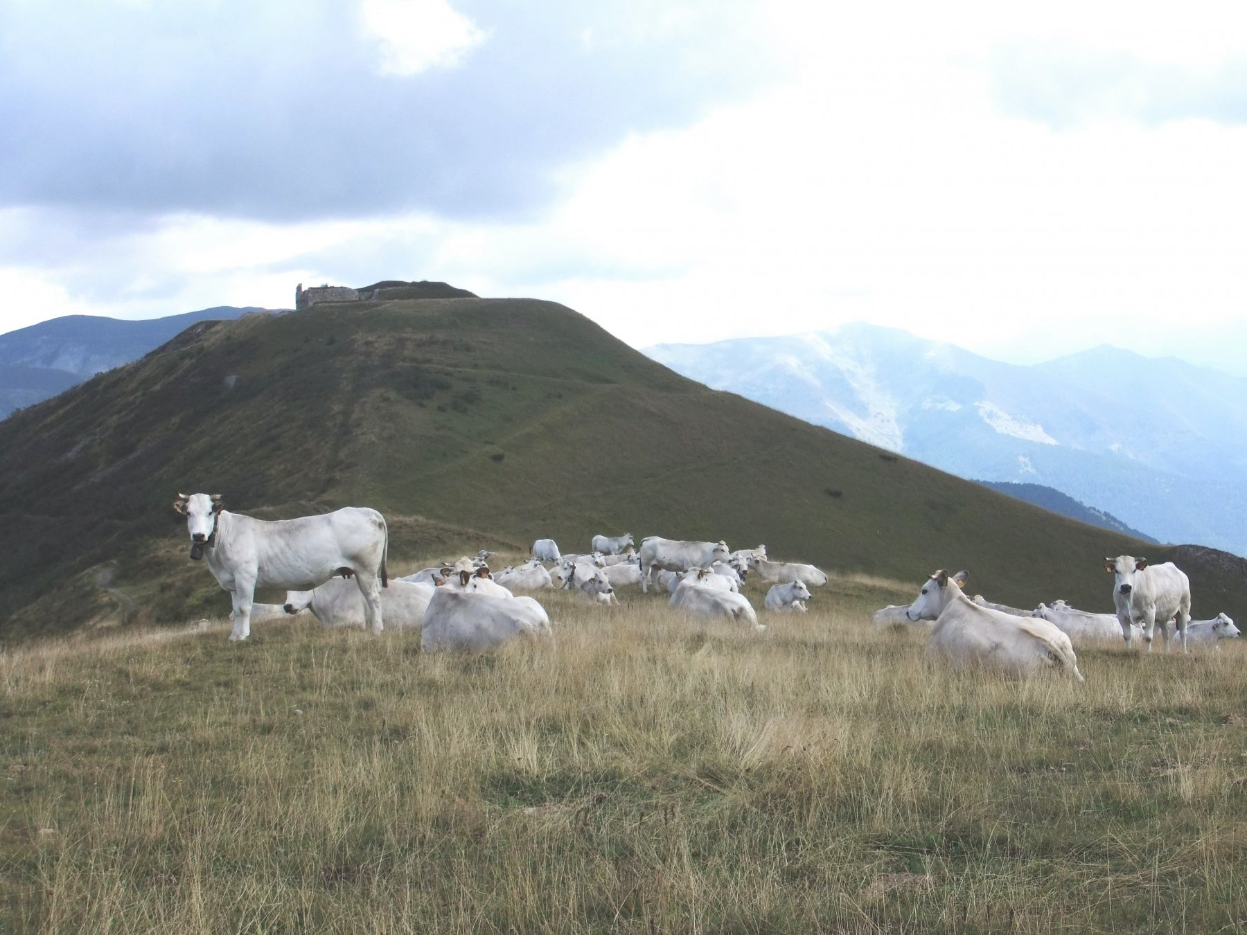 Verso il Forte Pernante
