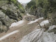 La valanga su uno dei rami del torrente Poussine