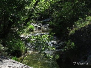 Lungo la Valle auzza