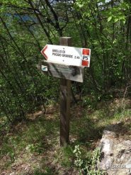 Il cartello al bivio sull'asfalto