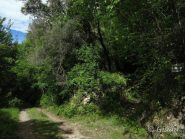 L'immissione sulla strada poche centinaia di metri prima della cappelletta punto di partenza