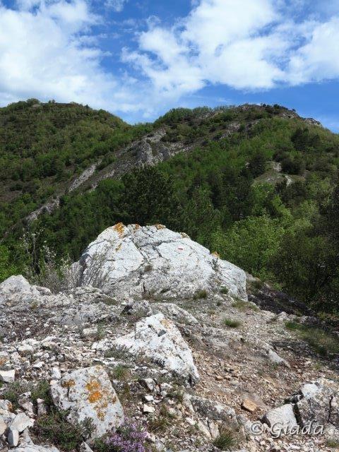 Verso il Poggio Grande