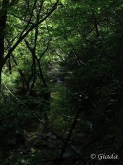 Lungo la Valle Auzza 2