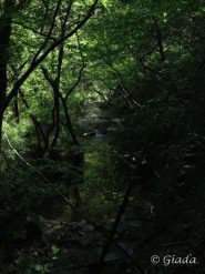 Lungo la Valle Auzza 2