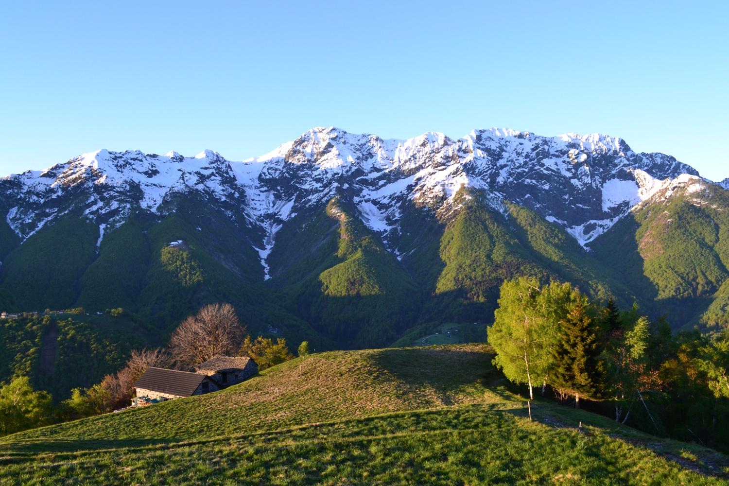vista sul Gridone appena fuori dal bosco