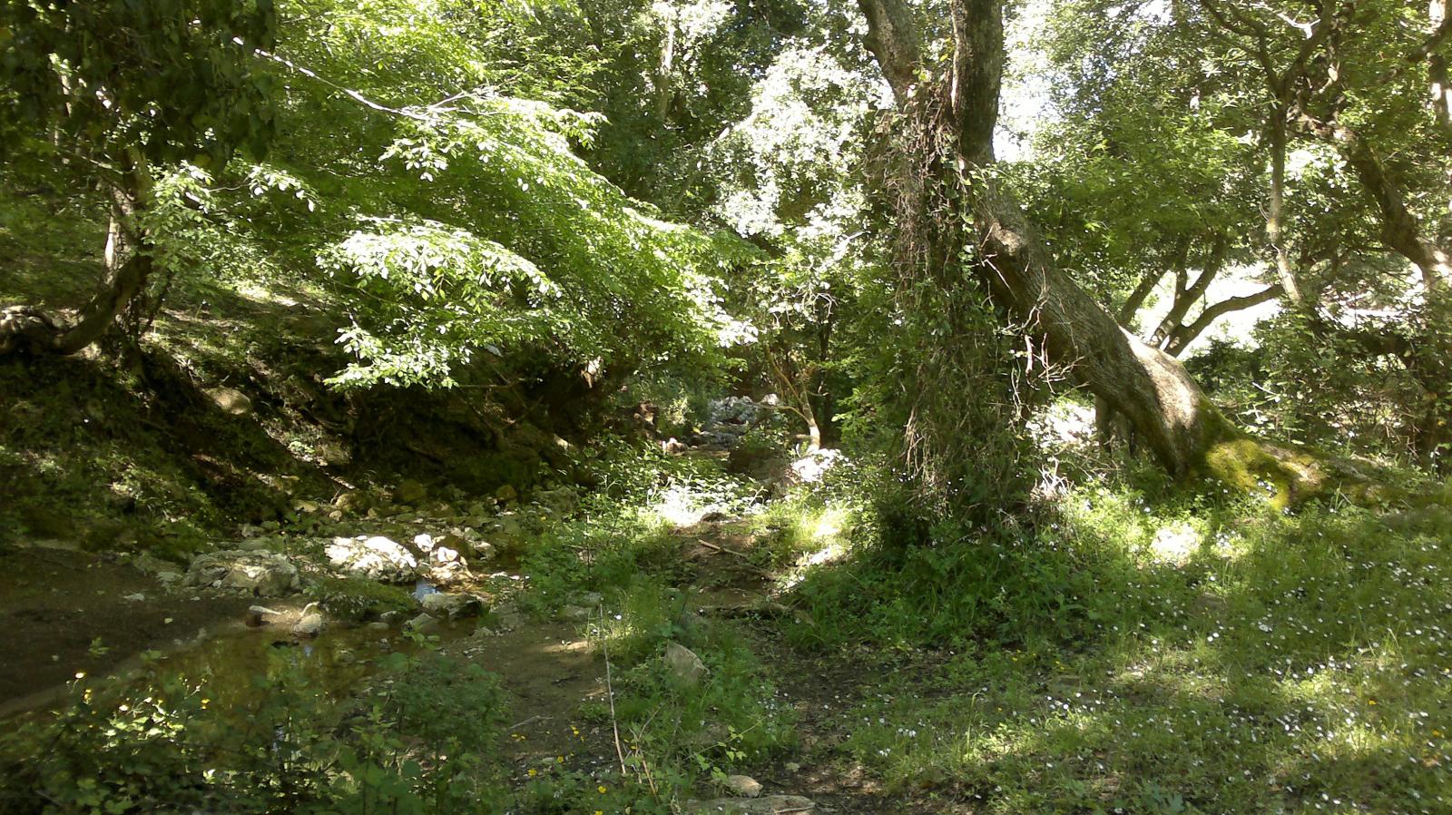 Fosso Eri di Santa Severa nelle vicinanze della Legarella