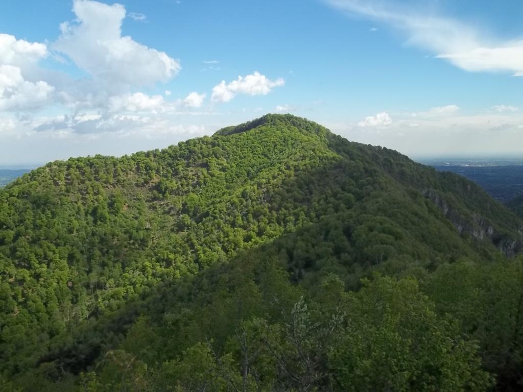 san bernardo e misinfreddo dal poncione