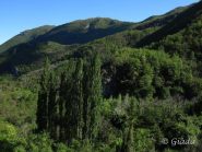 I monti Alpe da Cerisola