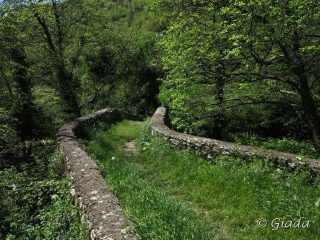 Sul ponte romano di Bassi