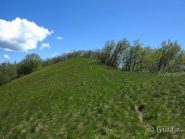 Sull'ultimo tratto di crinale per il monte Alpe est